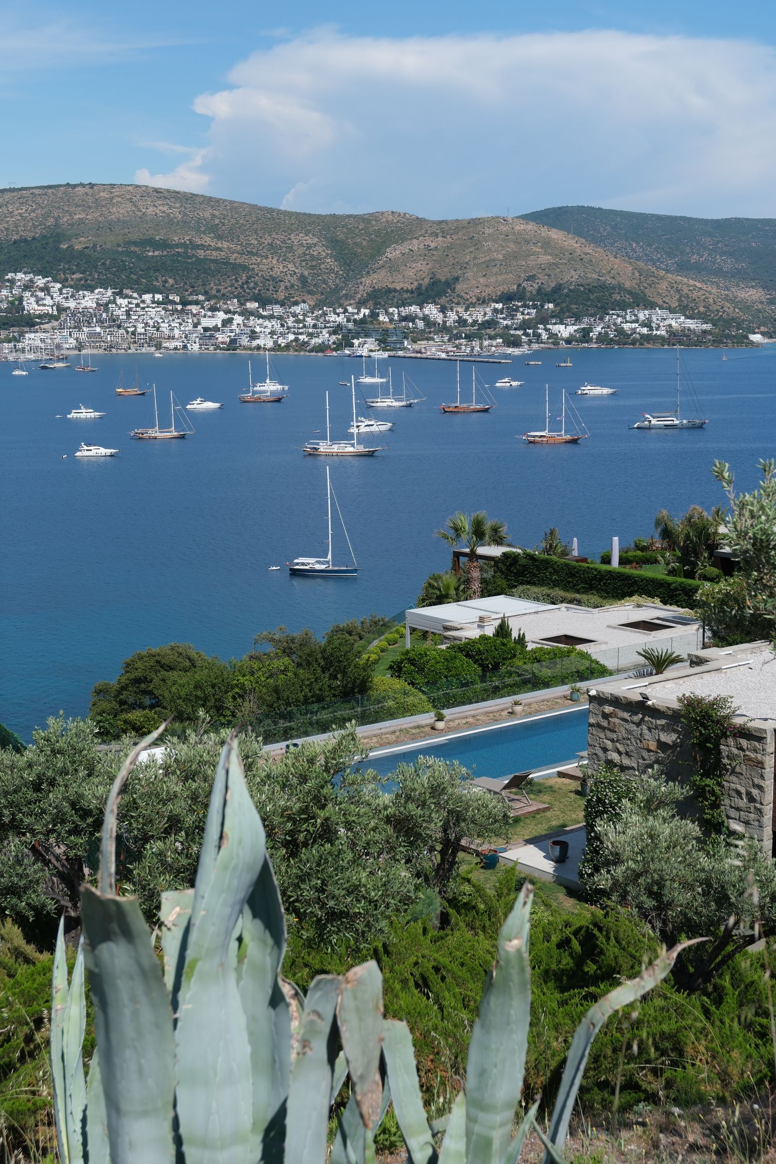 Bodrum'da begonvillerle çevrili beyaz taş ev